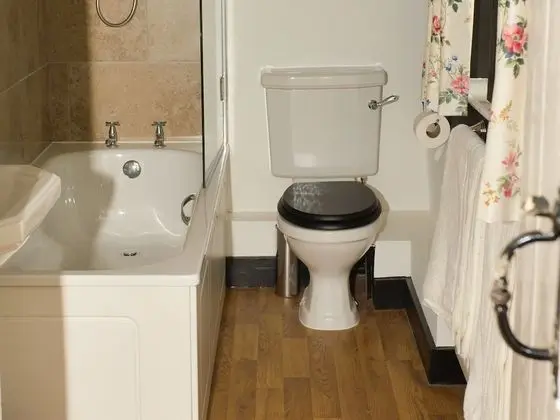 Twyford Farm B&B - Banyo Tipleri