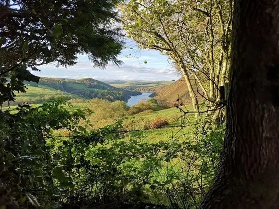 Ty Capel B&B - Dış Mekan