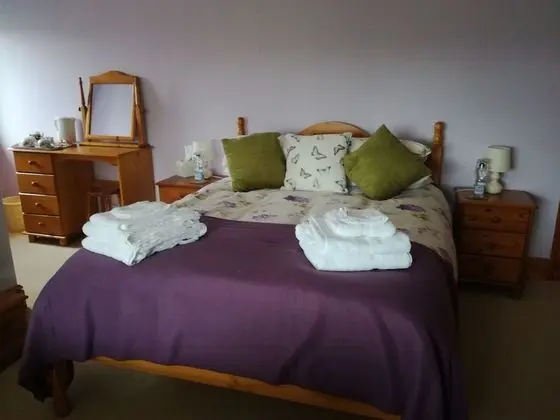 Ty Newydd Bed and Breakfast - Oda