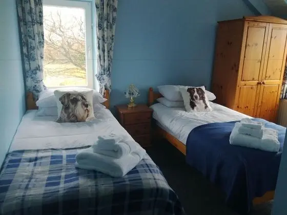 Ty Newydd Bed and Breakfast - Öne Çıkan Resim