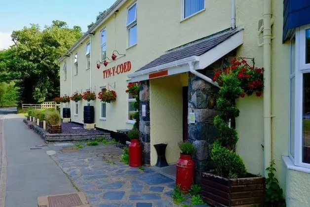 Tyn-y-Coed Hotel