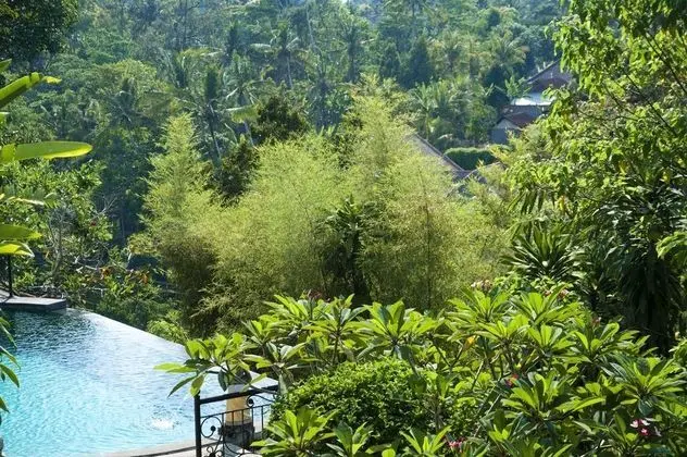 Ubud Dedari Villas - Genel