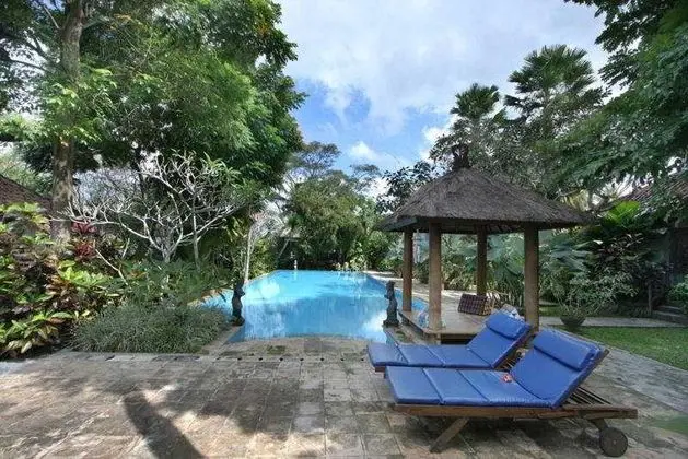 Ubud Garden Villa - Havuz
