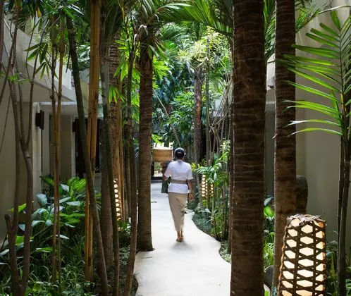 Ubud Village Hotel at Monkey Forest - Genel