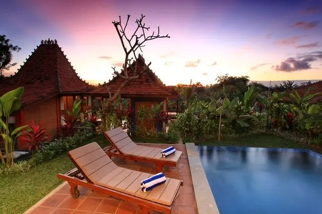 Ubud Heaven Penestanan - Havuz