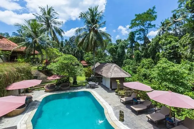 Hotel Villa Ubud - Havuz