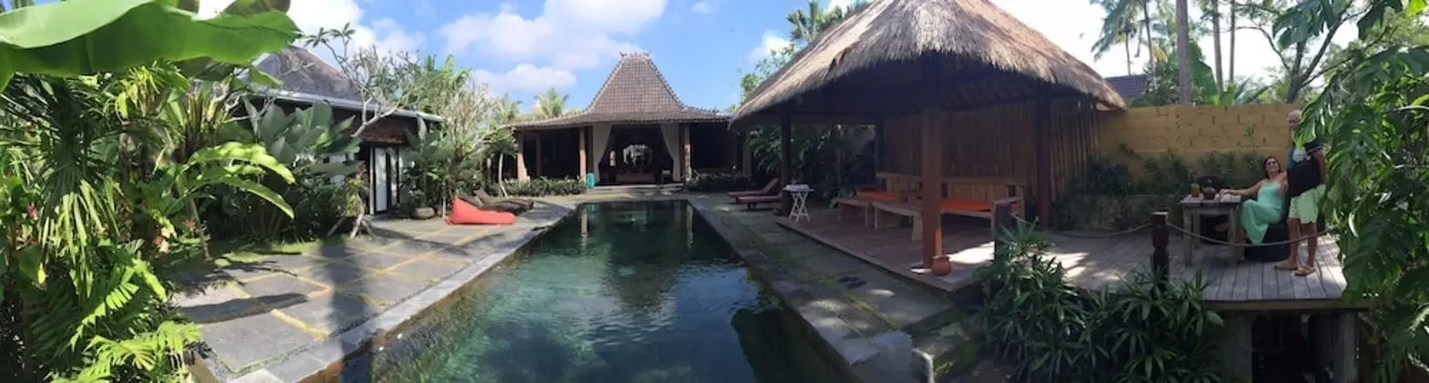 Ubud Virgin Villa - Havuz