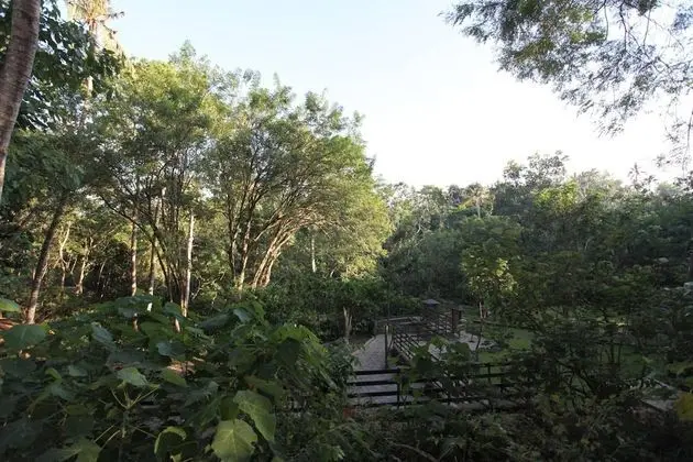 Ubud Wana Villa - Dış Mekan