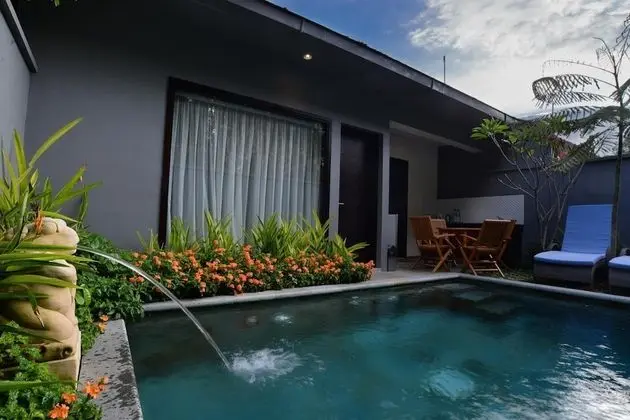 Ubud Wana Villa - Havuz