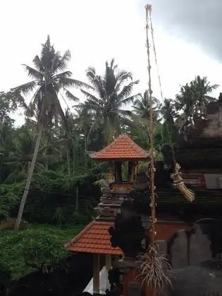 Ubud Wins Bungalow - Dış Mekan