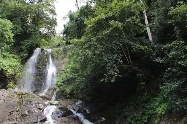 Udzungwa Falls Lodge - Dış Mekan