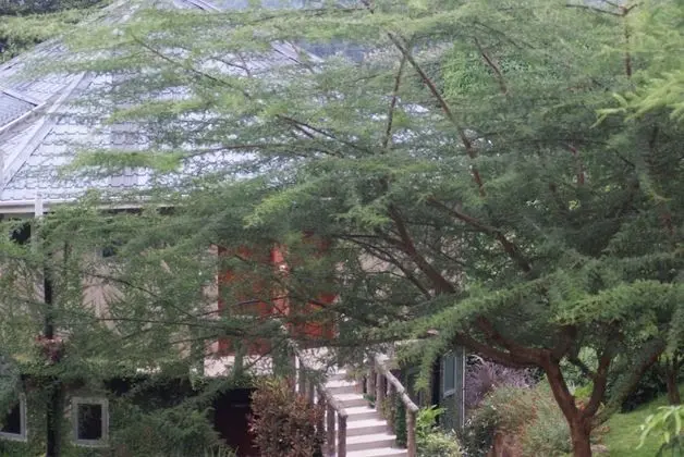 Udzungwa Falls Lodge - Lobi