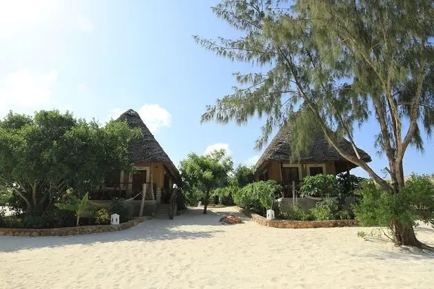 Ujamaa Beach Resort Zanzibar - Dış Mekan