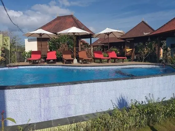 Ulap Bali Villas - Havuz
