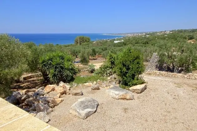 Ulivi Pasuli Rare View e Privacy