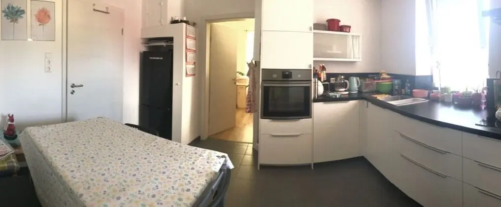 Ulm 2-room Apartment Near University & City Centre - Mutfak