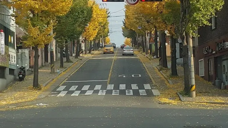 Ulsan Guest House BaehoHanmaru