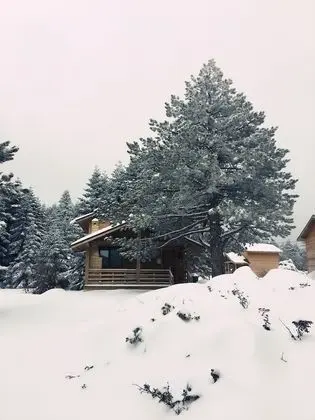 Uludag Orman Koskleri - Dış Mekan