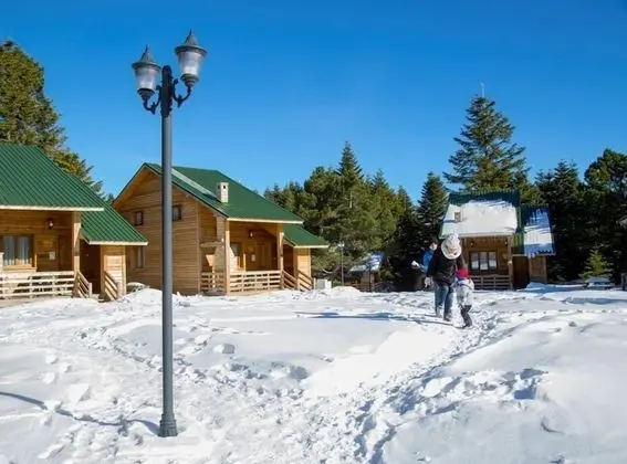 Uludağ Orman Köşkleri - 8