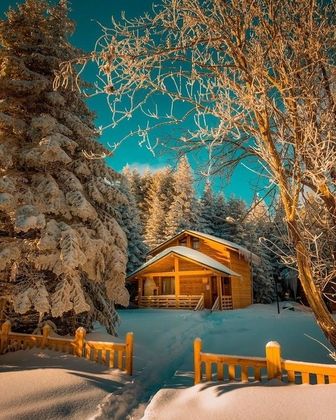 Uludağ Orman KöşkleriFotoğrafı