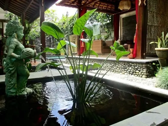 Uma Padi Villa - Dış Mekan