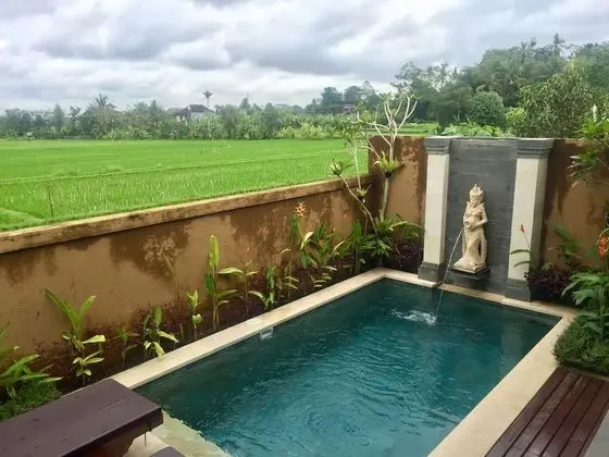 Uma Padi Villa - Havuz