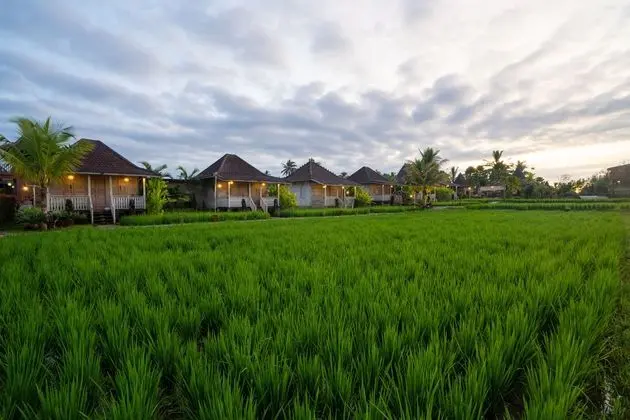Uma Sebatu Villa