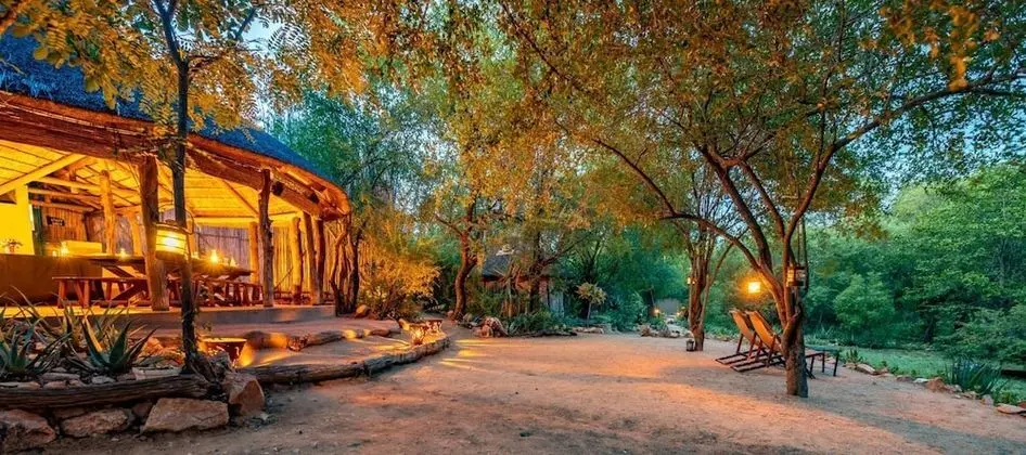 Umlani Bushcamp - Lodge - Dış Mekan