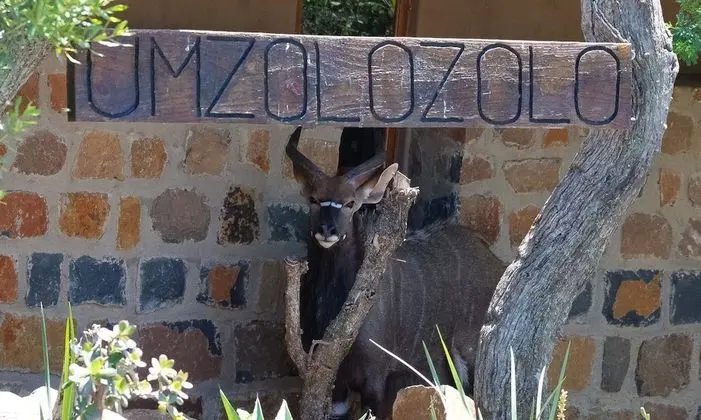 Umzolozolo Private Safari Lodge - Dış Mekan