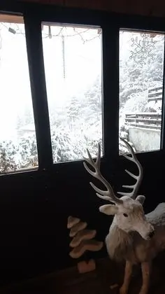 Un balcon en montagne - Lobi