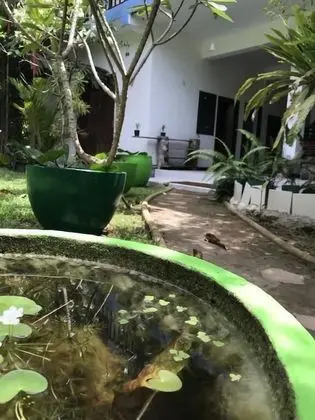 Unawatuna Hostel Honey Packers - Dış Mekan