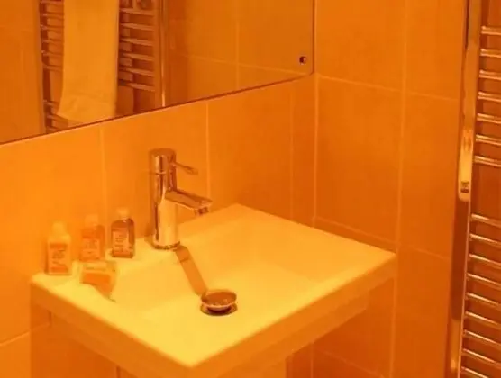 The Union Inn - Banyo Tipleri