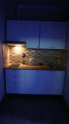 Unique Apartment In Historic Mansion - Mutfak