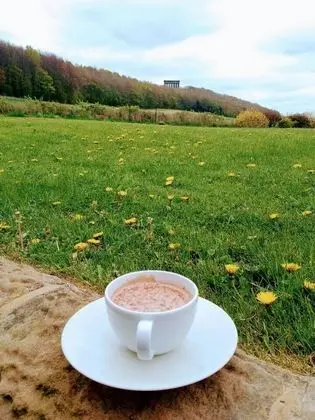 Unique Countryside Cottage Close to Sunderland - Dış Mekan