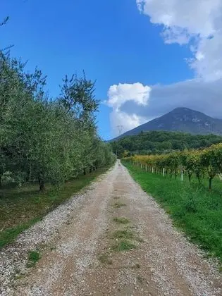 Unique Countryside Loft Room, Near Naples - Öne Çıkan Resim