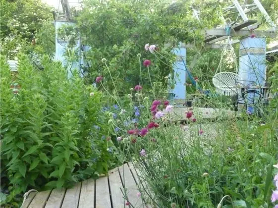 Unique Fairytale Farmhouse Near Galway - Dış Mekan