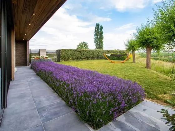 Unique Holiday Home in Haringe - Dış Mekan