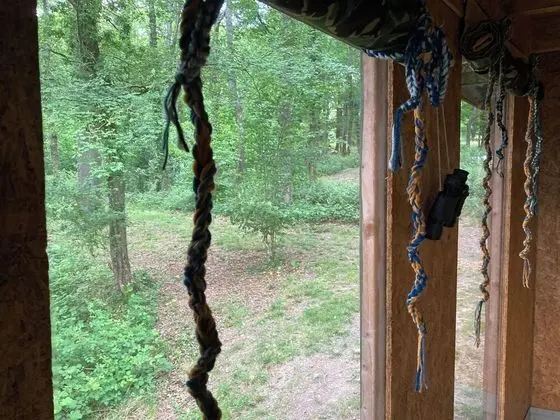 Unique off Grid Tree-house Stay - Fitness