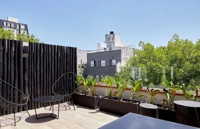 Unique triplex with rooftop private use