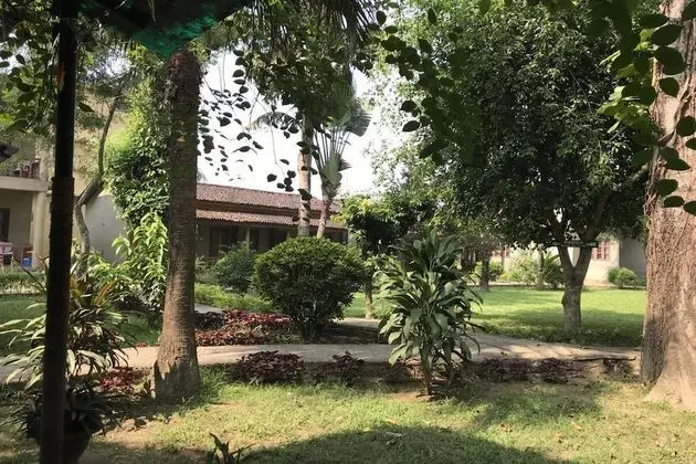 Unique Wild Resort