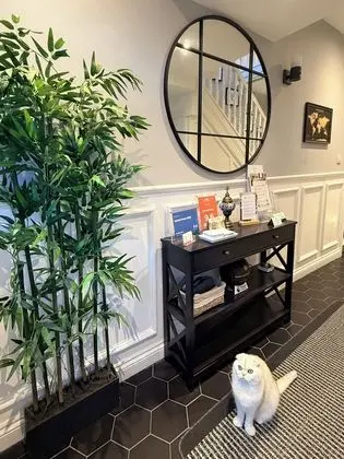United Home B&B - Lobi