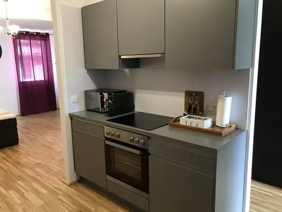 United Homes Apartments Vienna - Mutfak