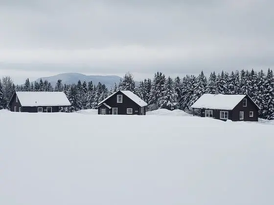 Unity College Sky Lodge - Öne Çıkan Resim