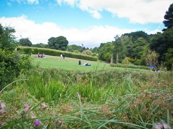 University of Exeter Holland Hall - Dış Mekan