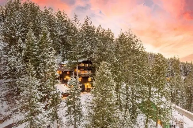 Upper Evergreen - Treetop