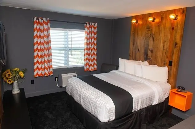 Uptown Hotel St Pete - Oda