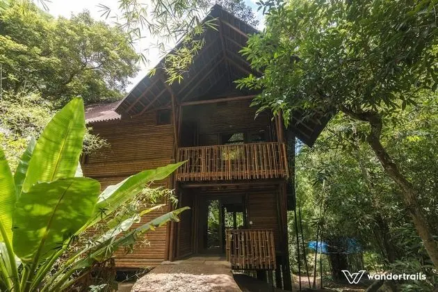 Uravu Bamboo Grove