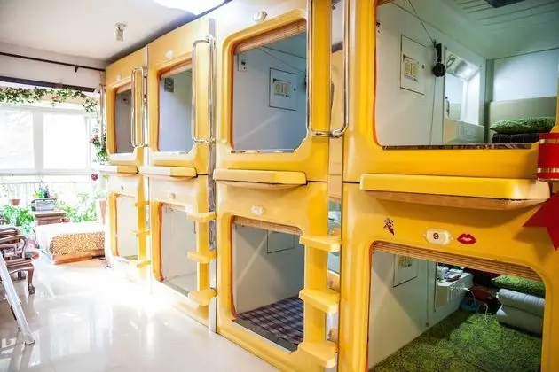 Urban job papas capsule hostel