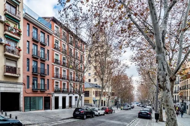 Urban Vida Ribera - Genel