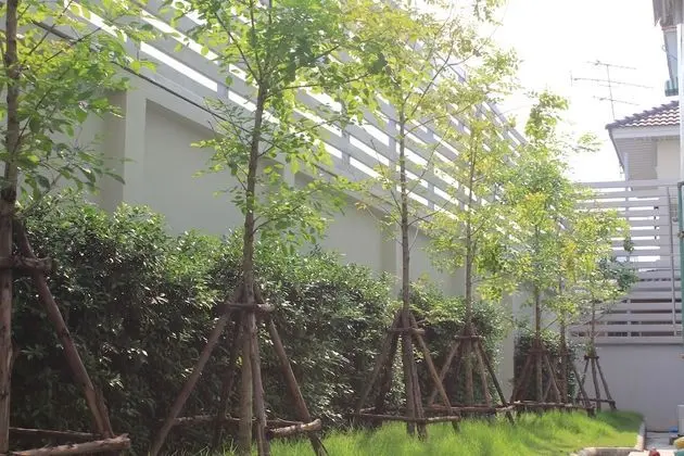 UTD Apartments Sukhumvit Hotel & Residence - Dış Mekan
